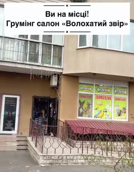 Зоосалон в Києві на Троєщині